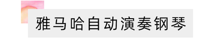 活动报道 | “科技助力，跨越时空”，小鹿纯子携手刘明康共享中日音乐盛宴